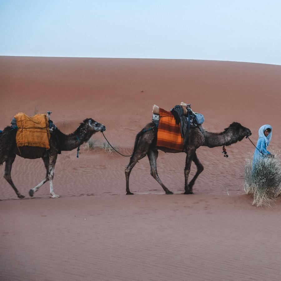 Camel Luxury Camp Bed & Breakfast Merzouga Luaran gambar